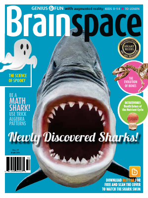 Brainspace 2017-09-18.pdf
